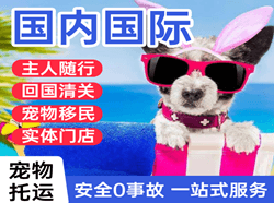 静巴音布鲁克空运公司国际宠物托运 【国